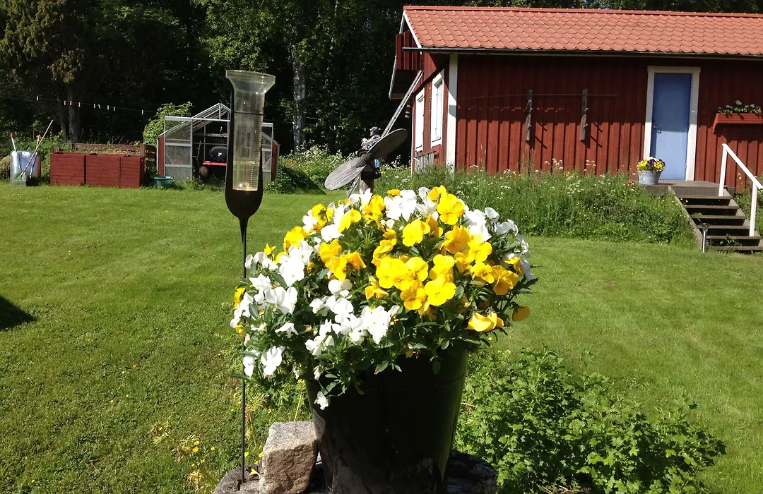 Kullsbjörken Bed&Breakfast-1